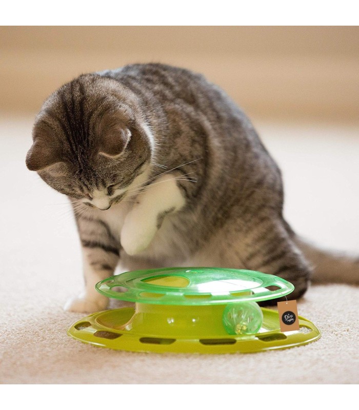 Juego didactico para gato