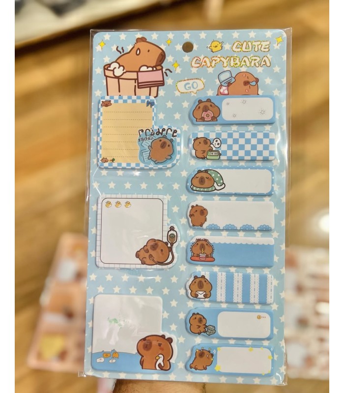 BLISTER DE ANOTADORES CAPYBARA YSD-0241