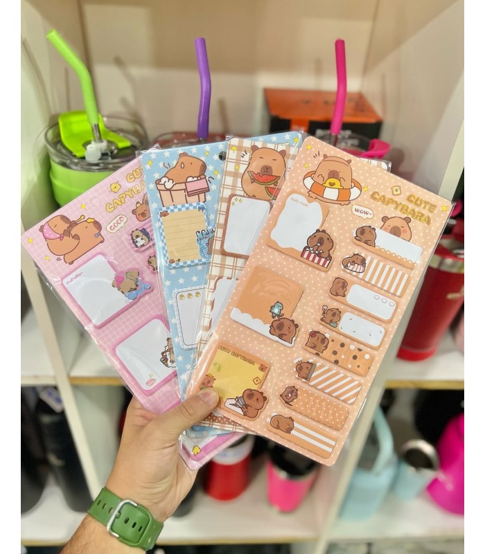 BLISTER DE ANOTADORES CAPYBARA YSD-0241