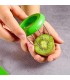 Cortador de kiwi